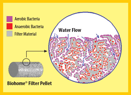 Biohome Filter Media