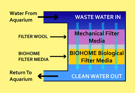 Biohome Filter Media